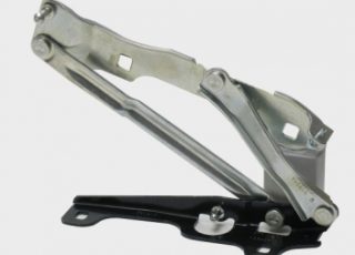hinge1